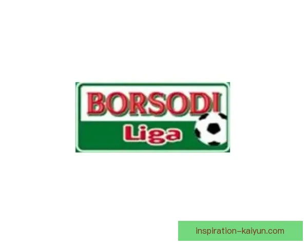 匈牙利NB1联赛持续升温，各球队竞争力增强，赛事精彩纷呈